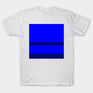 A tremendous blend of Lightblue, Primary Blue, Darkblue and Cetacean Blue stripes. T-Shirt